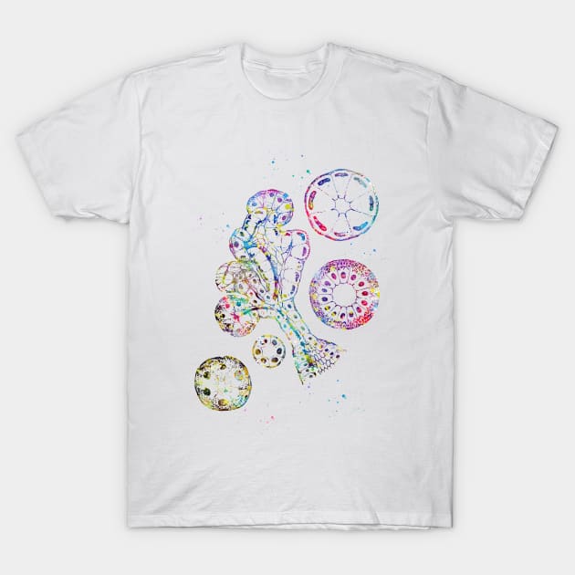 Endocrine gland T-Shirt by erzebeth